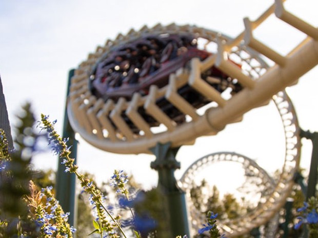 Attractie in een pretpark