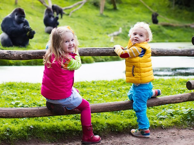 Twee kleine kinderen in de dierentuin met apen op de achtergrond