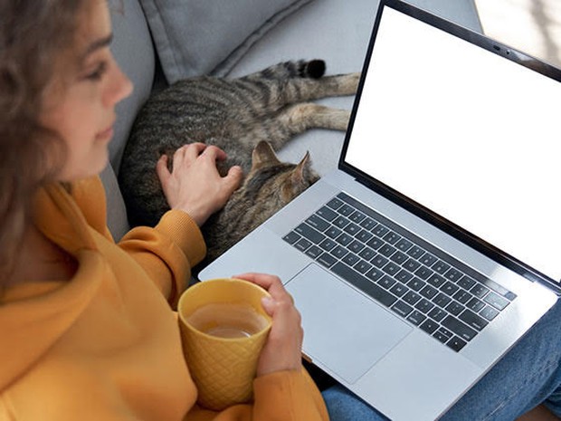 Een vrouw achter de laptop met daarnaast een kat
