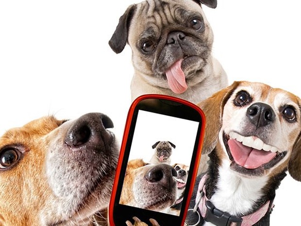 dogselfie