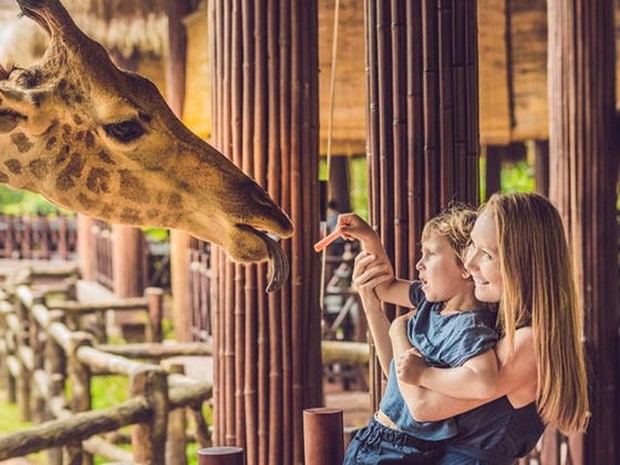 dierentuin