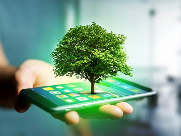 Een groen boompje dat uit een smartphone komt