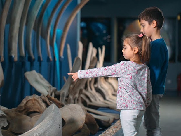 Twee kinderen die naar een skelet kijken in een museum