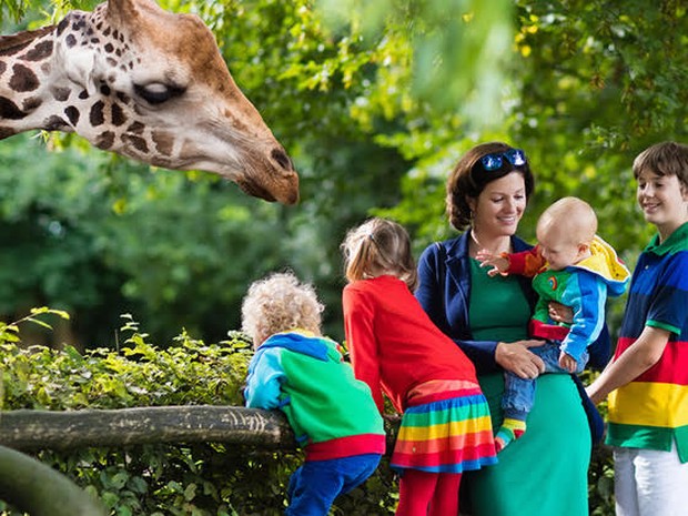 Een vrouw met vier kinderen in een dierentuin bij een giraffe