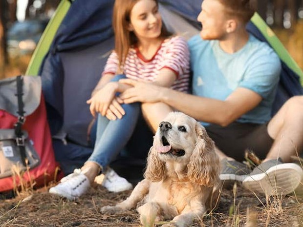 Een stelletje samen met een hond voor een tent
